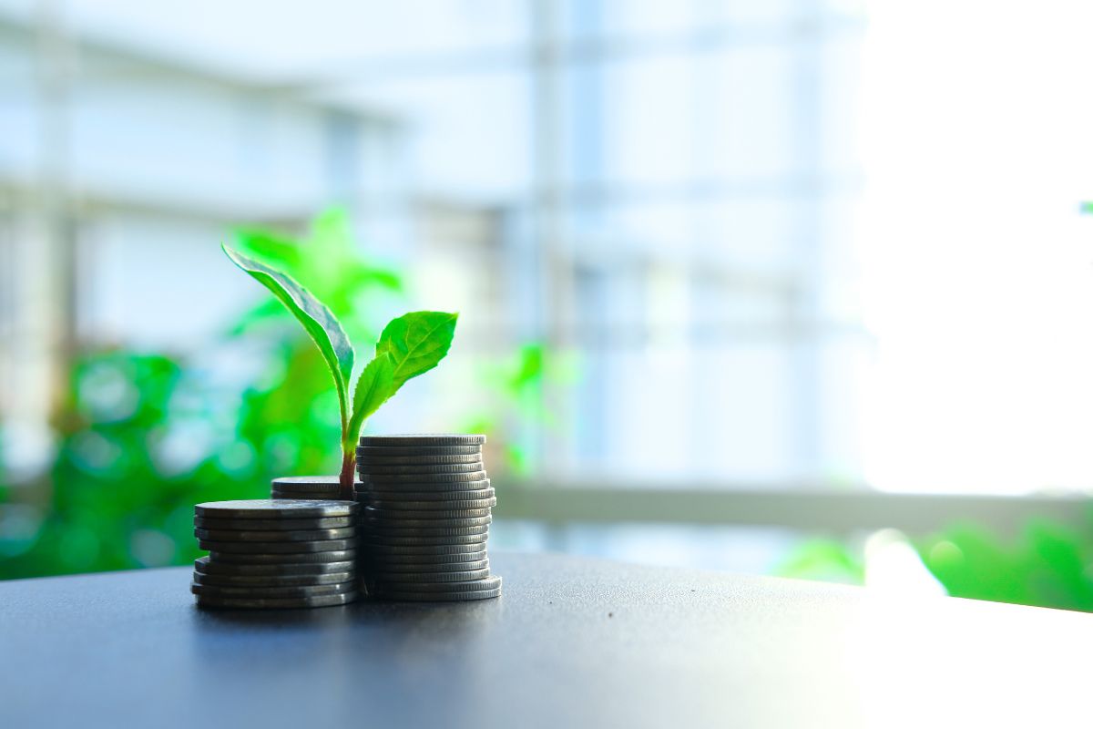 calculadora de payback descontado